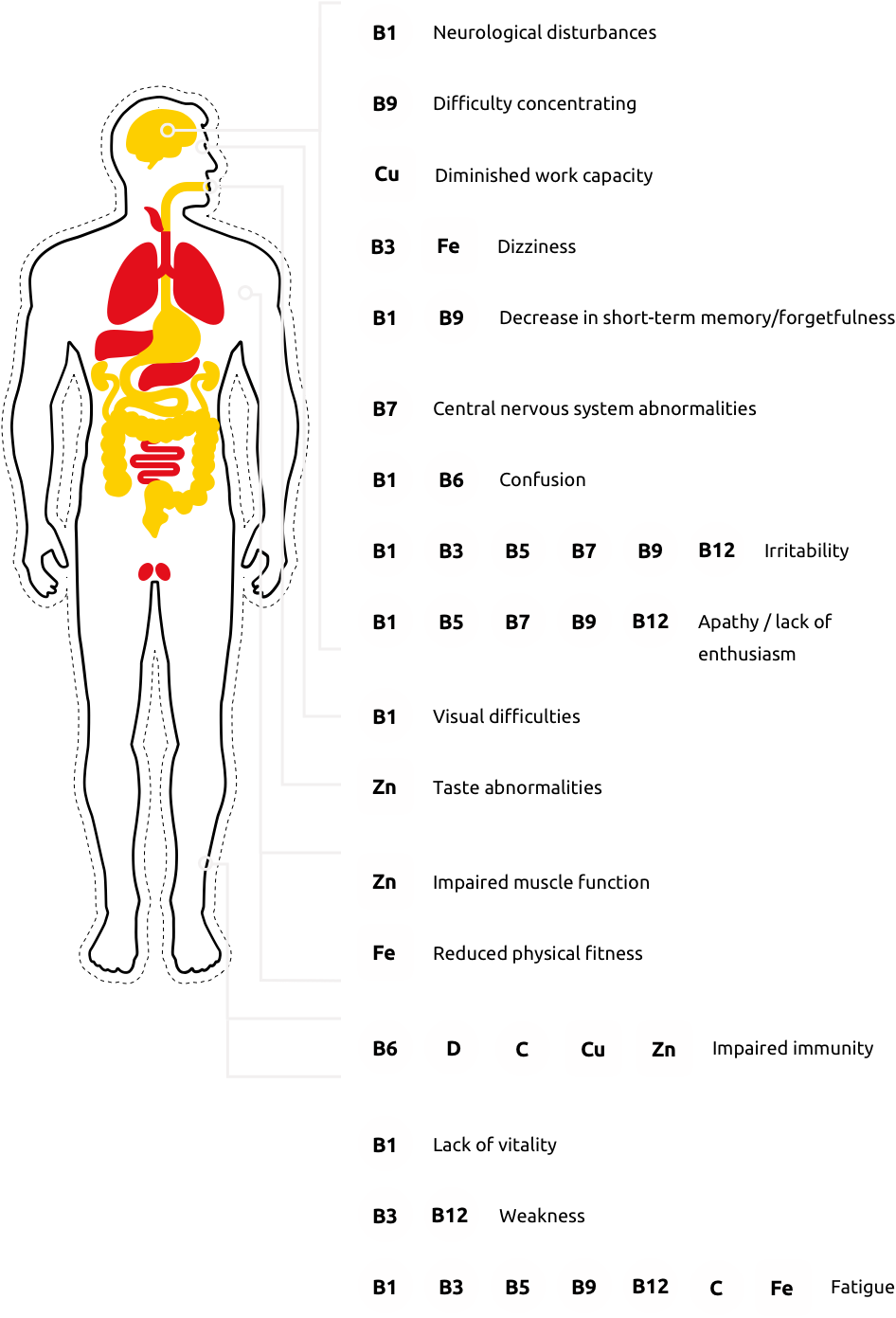 Symptoms and prevalence of vitamin and mineral deficiency