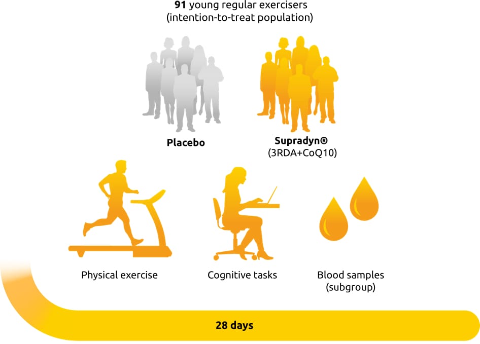 How Supradyn works Efficacy of multivitamin supplements